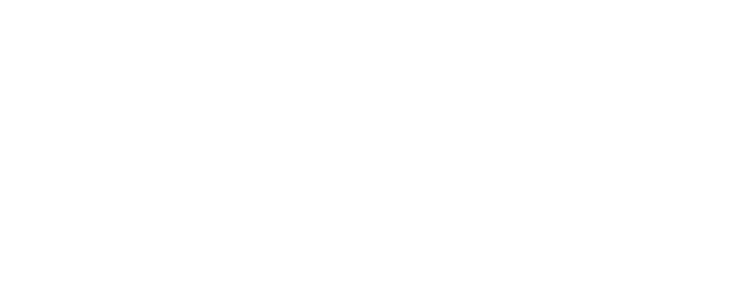 CC Sisters Logo hvid